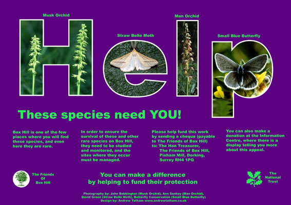 Friends of Box Hill Appeal Poster